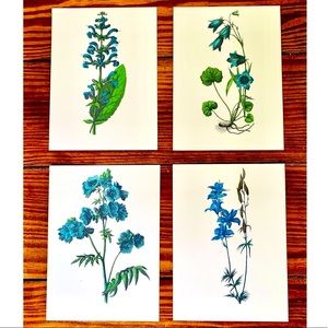 Four Vintage Floral Botanical Prints (5.5x7.5)